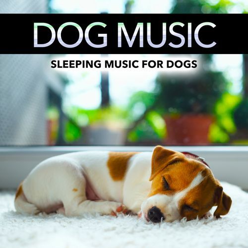 Sleeping Music For Dogs