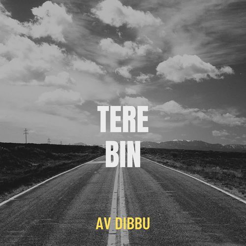 Tere Bin