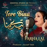 Tere Bina