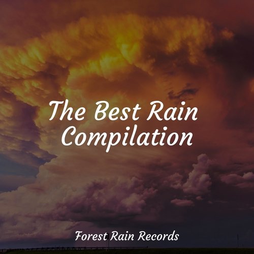 Rain, Storm and Thunder cover art