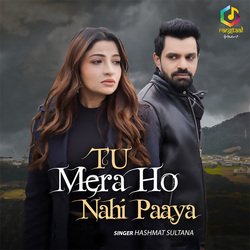 Tu Mera Ho Nahi Paaya-Ci4RSRx6XmM