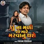 Tu Na Mali To Mare Marva Nu Thase