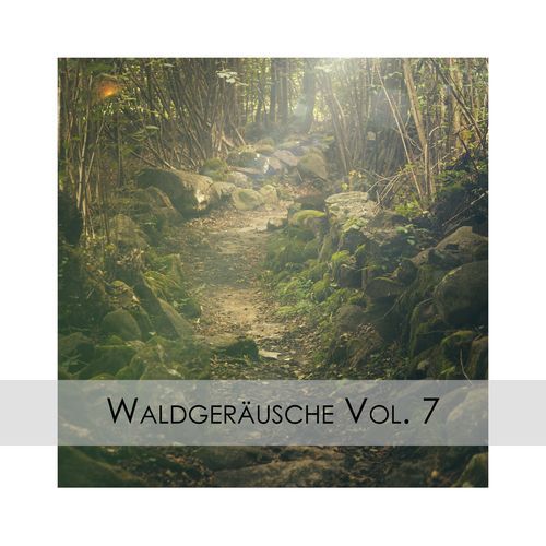 Natural Forest Sounds cover art