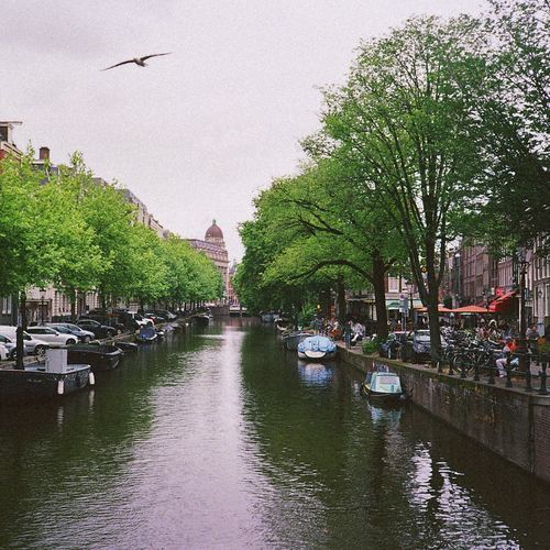 Where Time Stands Still