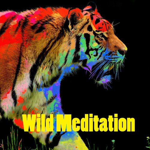 Mystically Binaural cover art
