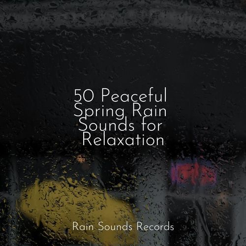 50 Peaceful Spring Rain Sounds for Relaxation