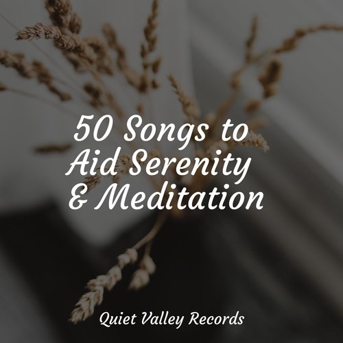 50 Songs to Aid Serenity & Meditation