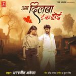 Ab Dilwa E Ka Hoi
