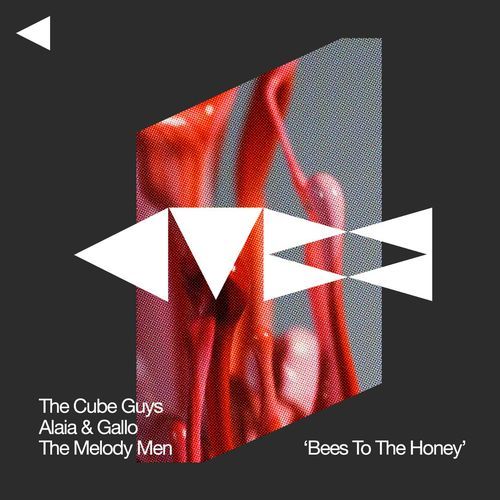 Bees To The Honey (Radio Edit)