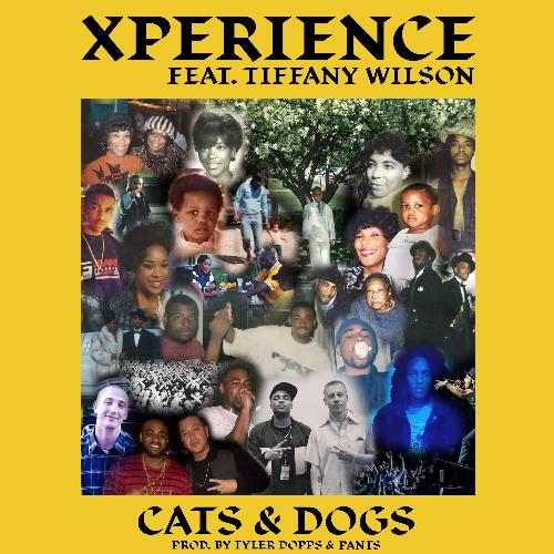 Cats & Dogs (feat. Tiffany Wilson)