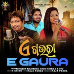 E Gaura