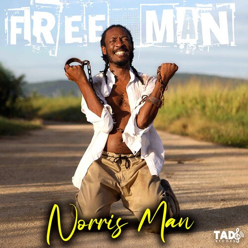 Free Man_poster_image