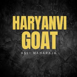 Haryanvi Goat