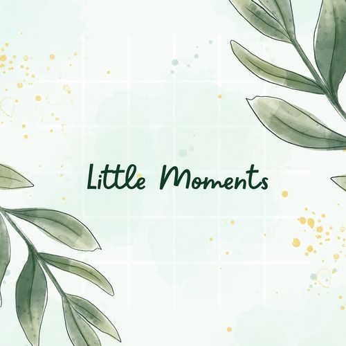 Little Moments