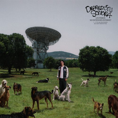 Los Perros no Entienden Internet (…Y Yo no Entiendo de Sentimientos)