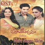 Mere Angne Mein