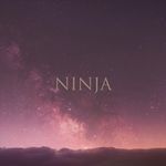 NINJA artwork