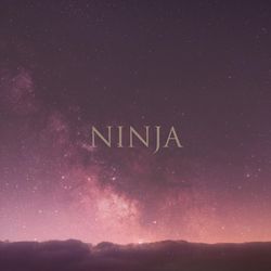 NINJA by Lsi
