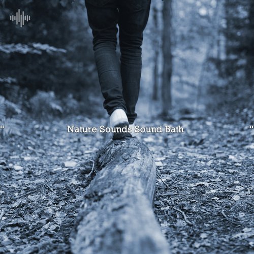 Nature Ambience cover art
