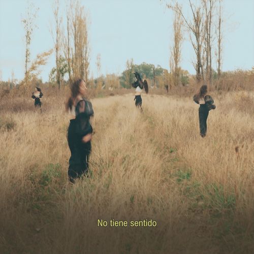 No tiene sentido