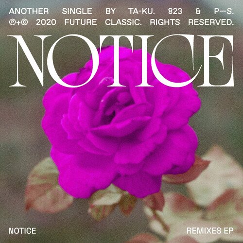 Notice (JAEL Remix)