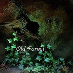 Old Forest
