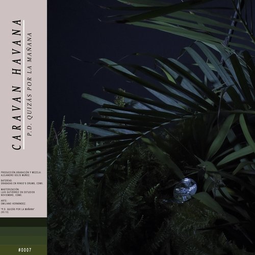 P.D. Quizás por la Mañana cover art