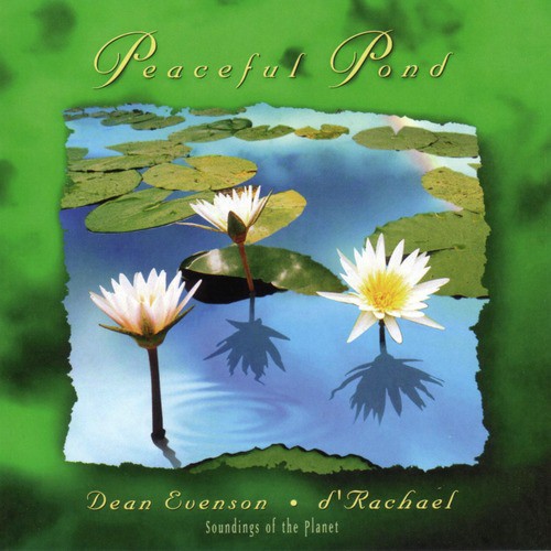 Peaceful Pond_poster_image