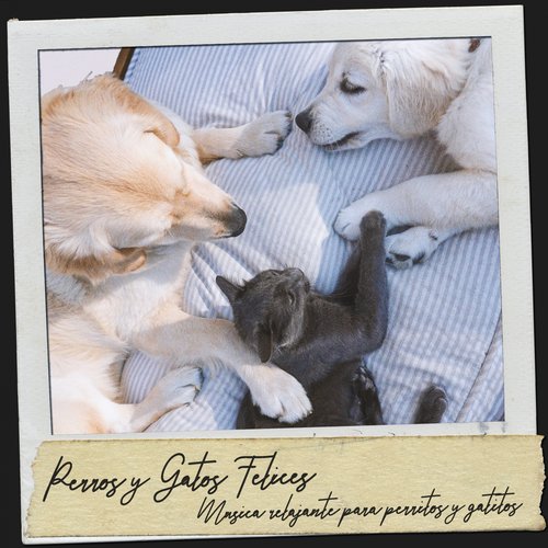 Música relajante para perros cover art