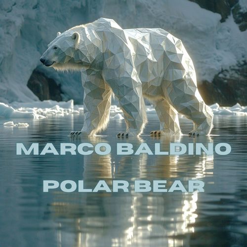 Polar Bear (Radio)