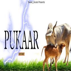 Pukaar-PzwFdTd5fko