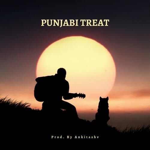 Punjabi Treat