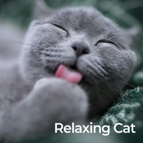 Relax My Cat (No Fade, Loopable) cover art