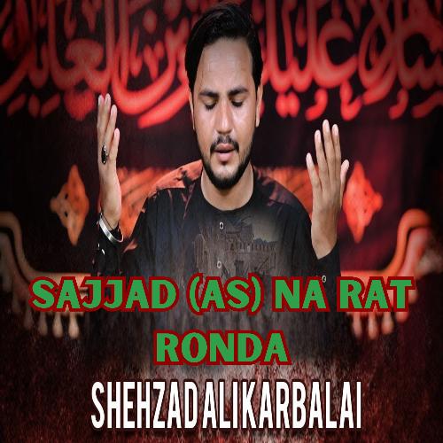 Sajjad (as) Na Rat Ronda