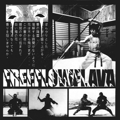 Hattori Hanzo cover art