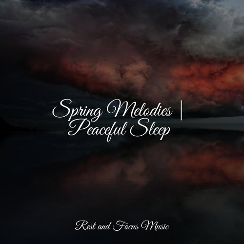 Spring Melodies | Peaceful Sleep_poster_image