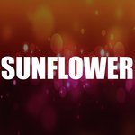 Sunflower (Spider-Man: Into the Spider-Verse)