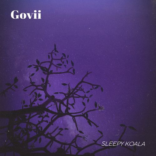 sleepy koala cover art