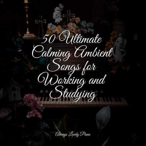 50 Calming Songs for Reading and Relaxation