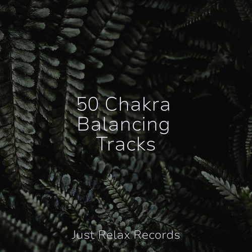 50 Chakra Balancing Tracks