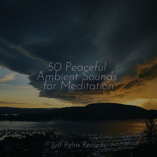 50 Peaceful Ambient Sounds for Meditation