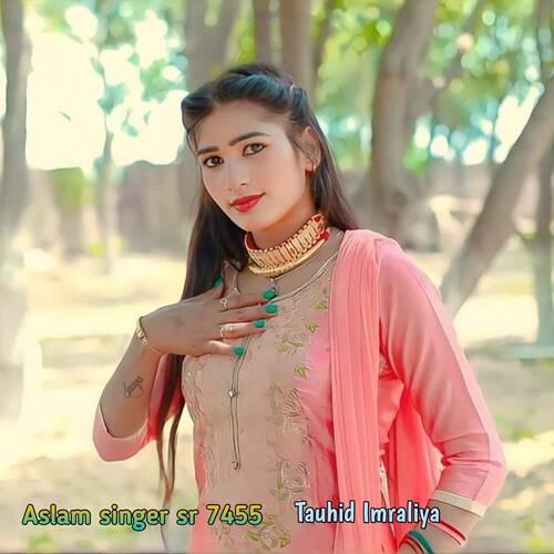 Aslam singer sr 7455