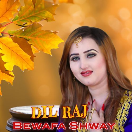 Bewafa Shway