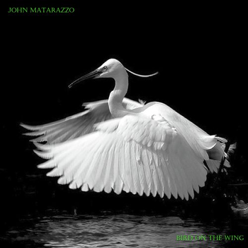 Bird on the Wing