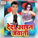 Jab Se Bhail Saiya Gawanwa