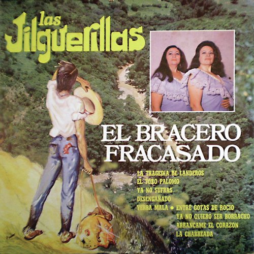 El Bracero Fracasado_poster_image