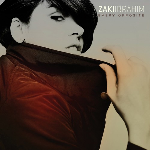 Flux Capacitor cover art