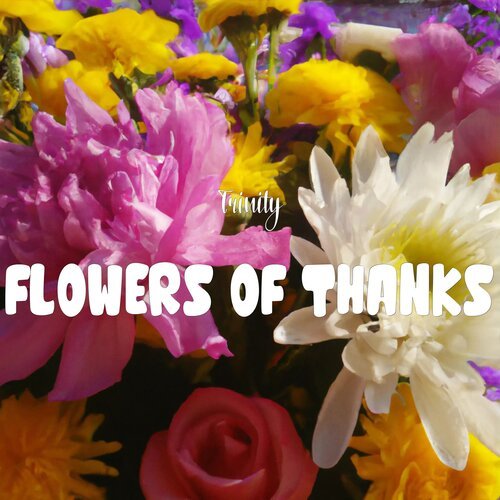 Flowers of Thanks_poster_image