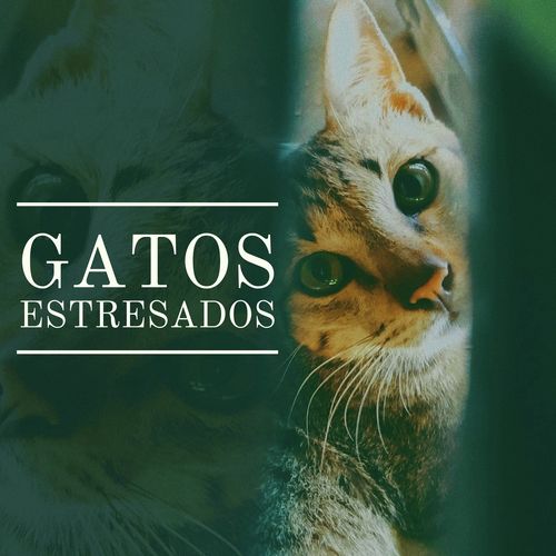 Relajar Mascotas cover art
