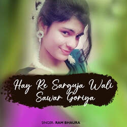 Hay Re Sarguja Wali Sawar Goriya-AjcgXzxCA10